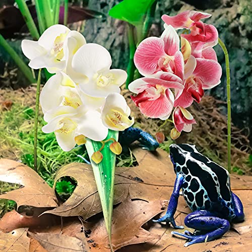 Chuangdi 2 Pieces Artificial Phalaenopsis with Suction Cups Terrarium Plant Decoration Reptile Habitat Plant Decor for Hermit Crab Lizards Geckos Snake Reptile (Dark Pink, White Yellow) - color: Dark Pink, White Yellow, style: Gradient