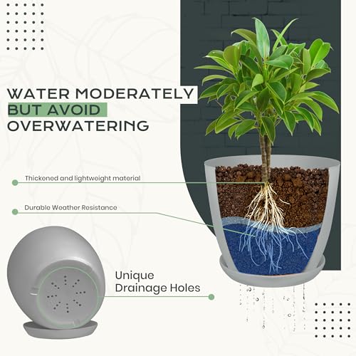 Utopia Home - Plant Pots Indoor with Drainage - 7/6.6/6/5.3/4.8 Inches Home Decor Flower Pots - Pack of 10 Plastic Planters for Indoor Plants, Cactus, Succulents Pot - Grey - color: Gray, size: Pack of 10