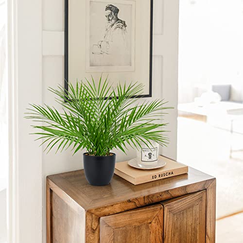 Briful Fake Plant 15’’ Artificial Palm Plant in Matte Black Pot Realistic Faux Tropical Palm Tree Houseplant for Home Indoor Living Room Tabletop Bedroom Decorations - color: 15'' Tall Black