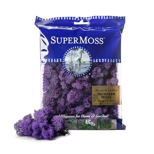 SuperMoss (25124) Reindeer Moss Preserved, Appx. 2oz, Purple - color: Purple, size: 80.75 cubic inch (in3) Bag (Appx. 2oz)