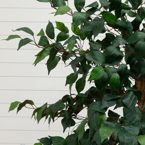 Nearly Natural 6ft. Triple Trunk Ficus Artificial Tree with Natural Trunks in Handmade Natural Jute and Cotton Basket Planter - size: 6ft, style: Tree in Basket