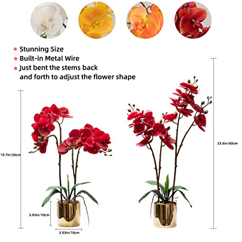 CXGS Artificial Orchid Flower Plant Real Touch Faux Orchids in Ceramic Vase Red 19.7'' Fake Phalaenopsis Flower Arrangement Centerpiece Home Indoor Decor - color: Red- Golden