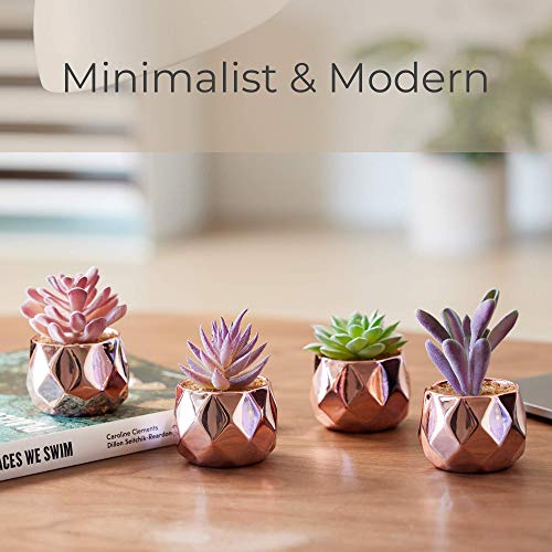 Nordik Set of 4 Desk Plants in Rose Gold - Office Decor for Women, Indoor, Living Room, Bedroom, Home and Desk Decor – Pink Faux Succulents Geometric Ceramic Planters - color: Rose Gold