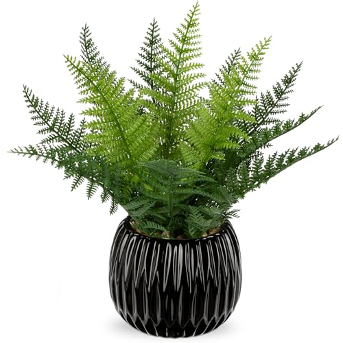 DILATATA Faux Plant Indoor in Ceramic Pot 11" Artificial Potted Fern Fake House Plants for Desk Office Bathroom Garden Decoration - Black