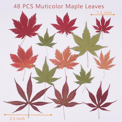 48 Pcs Dried Pressed Fall Maple Leaf for Cake Decorating, Seasonal Decor, Natural Dried Leaves Herbs kit for Resin Jewelry Making Soap and Candle Making (Maple Leaf) - color: Maple Leaf