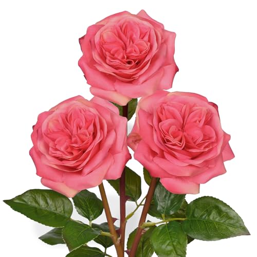 Artificial Roses - Set of 3 Long-Stem Real Touch Silk Roses, 24.4" Faux Flowers for Home Decor, Wedding Bouquets, Centerpieces & Floral Arrangements – Lifelike Violet Red Fake Roses - color: Palevioletred