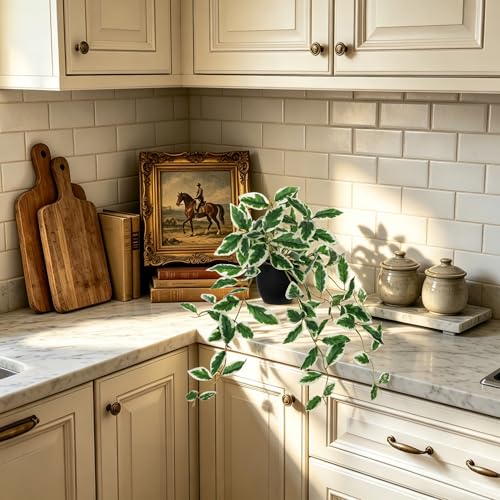 DILATATA Fake Plants Artificial Potted Plants 20 Inch Faux Peperomia Ivy Vine Plant Hanging Plant for Home Office Desk Shelf Indoor Outdoor Decor - color: Peperomia-green&white