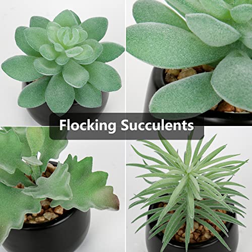 Briful 3PCS Artificial Succulents Fake Plants Mini Succulents Potted in Black Ceramic Pots Artificial Plastic Plants for Home Office Desk Farmhouse Bathroom Décor - color: Type #2