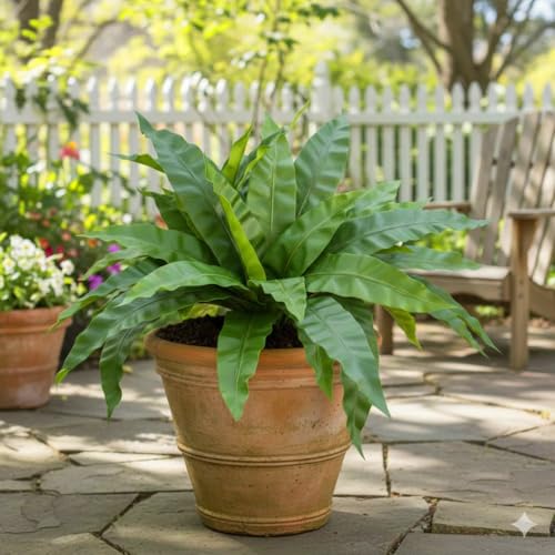 3pcs Artificial Bird's Nest Fern, 27.5" Wide Large Faux Fern Plants (45 Leaves Total), UV Resistant Fake Greenery for Window Box, Planter, Outdoor Porch, Patio & Indoor Home Office Decor