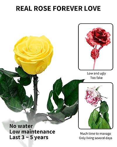 Yellow Flowers for Delivery Prime, Preserved Yellow Roses Flower Gifts for Women, Real Roses Single Rose Gifts for Her, Mom Birthday Gifts from Daughter,, Valentines Flowers - color: 16-yellow