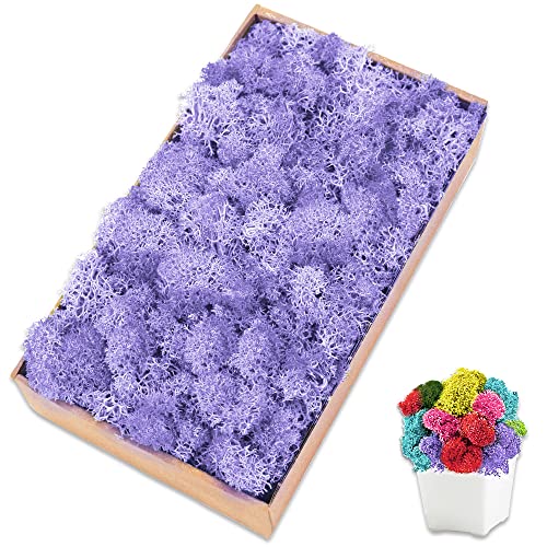 Preserved Reindeer Moss 7 OZ Light Purple Natural for Crafts, DIY Gift Christmas Decor, Wall Art, Potted Plants, Fake Moss for Easter Table Decor Wedding Decorative(7OZ, Light Purple) - color: Light Purple, size: 7 OZ