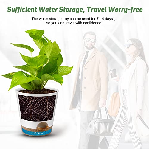 YNNICO Indoor Self Watering Planters with Drainage Holes and Saucers, 8, 7, 6.5, 6, 5.5, 5 Inches, White, 6 Pots - color: White, size: 8+7+6.5+6+5.5+5 inch