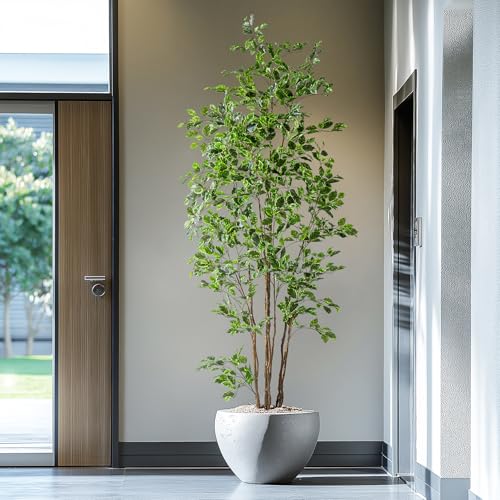 Bailikang Artificial Ficus Tree Indoor 8ft, Large Potted Faux Tree with Realistic Silk Leaves & Trunk for Home Office, Living Room Corner Decor - color: White Green, size: 8ft