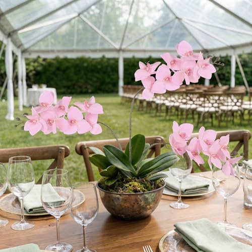 Orchids Artificial Flowers,6 Pcs Fake Light Pink Orchids 30" Long Stem Velvet Silk Phalaenopsis Orchid Flowers for Tall Vase Romantic Wedding Party Centerpieces Home Decor (Light Pink) - color: Light Pink