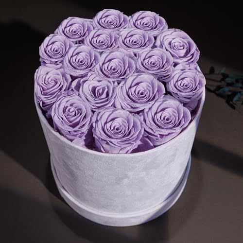 Prifroti 17 Flowers in a Luxury Suede Box, Birthday Gifts for Women, Preserved Flowers, Mothers Day Roses Gift for Mom, Lavender - color: Lavender, size: 17 Roses