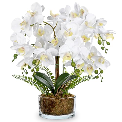 White Orchids Artificial Flowers 16.5" Faux Orchids Plant in Pot Fake Flower Arrangements with Glass Vases White Centerpieces for Kitchen Dining Room Tables Bathroom Nightstand Shelf Desk Decor - color: White Orchid & Moss