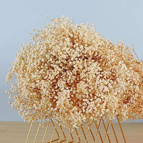 17.2 Inch Dried Flowers Baby's Breath Bouquet - 2500+ Dry Flowers,Natural Gypsophila Branches for Home Decor, Wedding, Table Decor, DIY Wreath Floral, Dry Flowers Bulk for Vase (White) - color: White