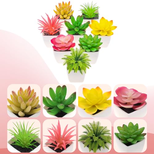 Woration 8Pcs Mini Artificial Succulent Plants Simulation in White Pots Small Fake Succulents Decoration for Bedroom Aesthetic Living Room Office Shelf - color: Décor 2