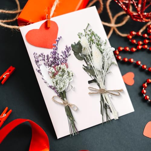 12/24 Pack Dried Flowers for Vase Various Mini Bouquet Dried Small Wildflowers Natural Real Flowers Bulk for Crafts DIY Wedding Decor (12, White) - size: White