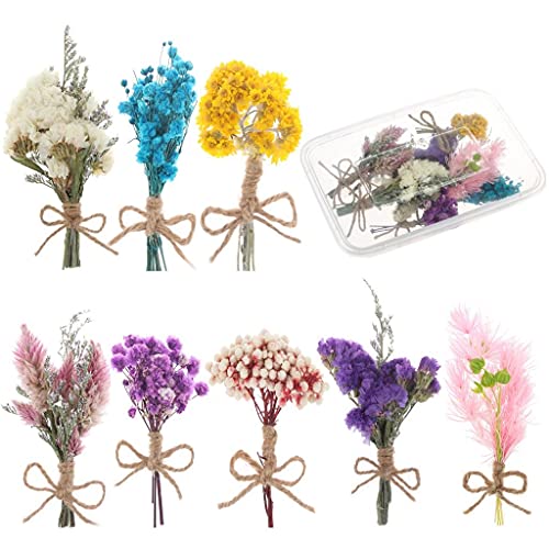 WWahuayuan 8 Pcs Mini Gypsophila Daisy Dried Flowers Bouquets for DIY Craft, Home, Wedding Decor - color: Type1