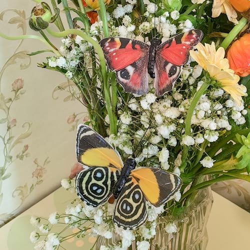 Cartanfill- Artificial Feather Simulation Butterfly Party Decoration Set, a Set of 12 Pieces with Wire, Used for Home Decoration in 12 Colors(C) - color: A