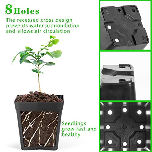 June Fox Square Nursery Pots 3.3 Inches Flexible Plastic Seedling Pots Square Pots for Plants, Succulent, Flower, Pack of 60, with 60 PCS Plant Labels - color: 60 Pcs