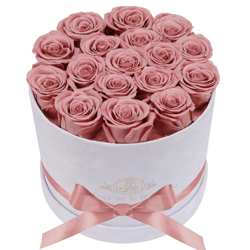 Prifroti 17 Flowers in a Luxury Suede Box, Birthday Gifts for Women, Preserved Flowers, Mothers Day Roses Gift for Mom, Dusty Rose - color: Dusty Rose, size: 17 Roses