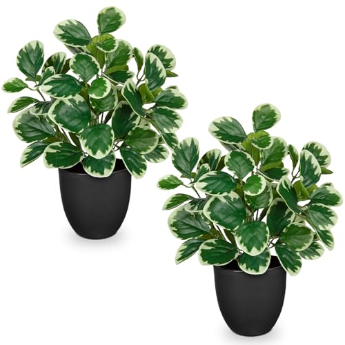 Sets of 2 Artificial Plants Indoor Home Decor, 14.5" Fake Potted Silk Plants for Shelves Living Room Decor, Small Artificial Office Desk Plant in Pots, Faux Peperomia Hope Tropical House Plant - color: 2 Sets #Funny White Margin