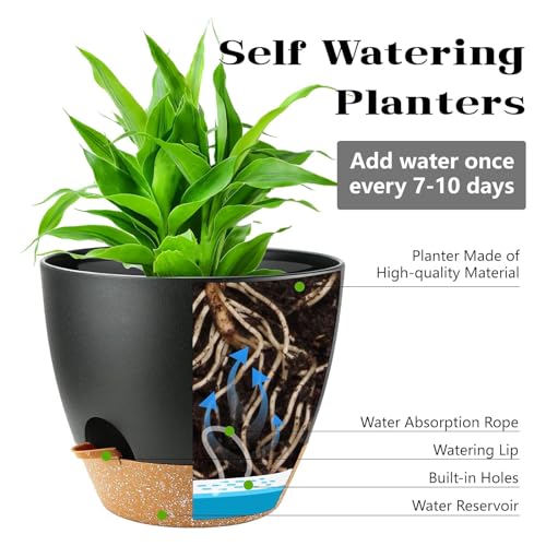 Self Watering Plant Pots with Drainage & Saucers, 4-Pack 6.5/6/5.5/5 in - Plastic Flower Pots for Indoor Plants, Succulents & Herbs, Planters for Indoor Outdoor & Balcony (Black) - color: 4pc-6.5/6/5.5/5in-black