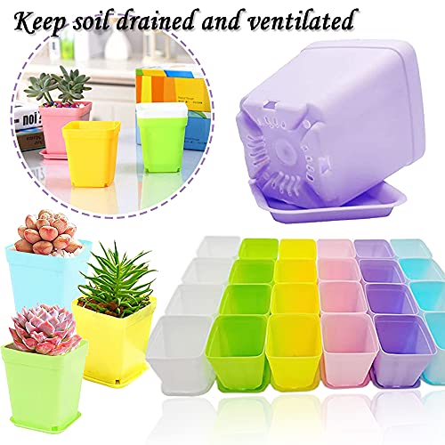 Haawooky 48 PCS 3 Inch Colorful Plastic Plant Pot,Plastic Square Nursery Pots,Seedling Nursery Pots with Saucers for Garden,Home,Office,Balcony Decor,Garden Gifts - size: 48 pack