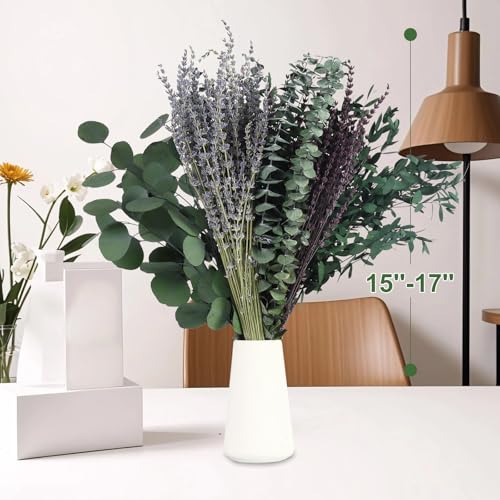 120+ Pcs Mixed Dried Eucalyptus & Lavender Flowers for Shower, Preserved Natural Eucalyptus Leaves for Wall Hanging, Plant Fragrance, Dried Florals for Vase Fillers, Wedding, Green Bathroom Decor