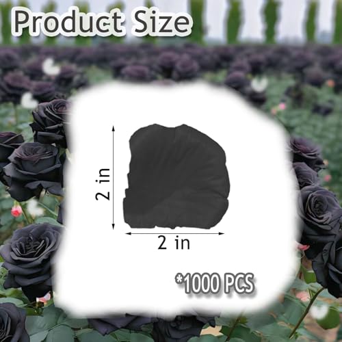 Grever 1000 Pieces Artificial Silk Rose Petals Faux Black Flowers for Wedding Valentines Proposal Anniversary and Romantic Party Decoration (Black) - color: Black
