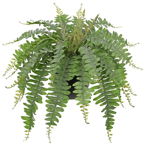Hollyone Artificial Fern Plants in Pot 18.8" Small Artificial Boston Fern 24 Leaves for Outdoors & Indoor Faux Potted Plant Fake Ferns Bush Plant Patio Garden Farmhouse Porch Home Decor Dusty Green - color: Black Pot - Dusty Green Small