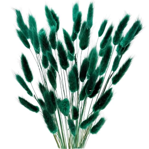 60pcs Dried Bunny Tails Flowers Blue Pampas Grass Natural Dried Floral Arrangement Dry Flowers for Christmas Halloween Boho Decor Home Wedding DIY Craft Decoration (16") - color: Blue