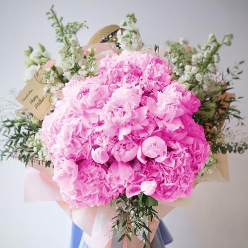 Coferset 5pcs Artificial Hydrangea Flowers Real Touch 20 inch Lifelike Hydrangea Flower for Home Wedding Office Party Living Room Decoration (Light Fuchsia) - color: Light Fuchsia
