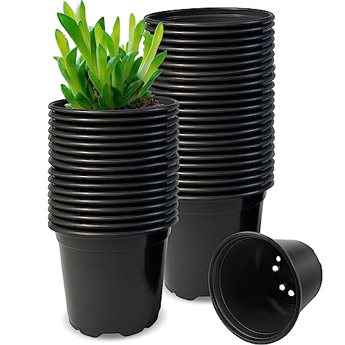 RAOOKIF 50 Pack Nursery Pots, 3 Inch Nursery Pot for Plants, Small Plastic Plant Pots with Drainage Holes, Garden Flower Pots for Transplanting, Succulents, Cuttings, Seedlings(3inch,50pcs) - size: 3 Inch