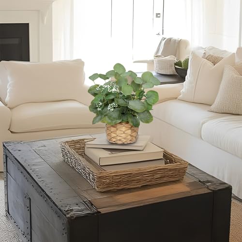 DILATATA Artificial Eucalyptus Stems in Woven Basket Planter, 12" Fake Plant Eucalyptus Leaves with Green Seeds Faux Potted Plant Greenery for Table Centerpiece Office Indoor Home Decor - color: Style#2