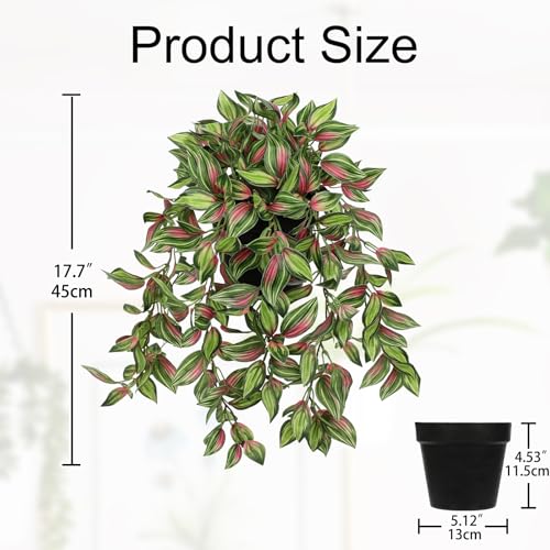 Briful Artificial Hanging Plants in Black Pot 17.7" Lifelike Trailing Faux Watermelon Peperomia Silk Plant with Cascading Greenery Fake Hanging Greenery for Indoor & Outdoor Home Garden Décor - color: Red Green