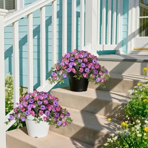 Artificial Fake Flowers Hanging Plants for Outdoor Spring Summer Decoration, 2Pcs Faux Petunias Realistic Silk Flower UV Resistant No Fade for Home Outside Garden Balcony Yard Porch (Purple Fuchsia) - color: Purple Fuchsia