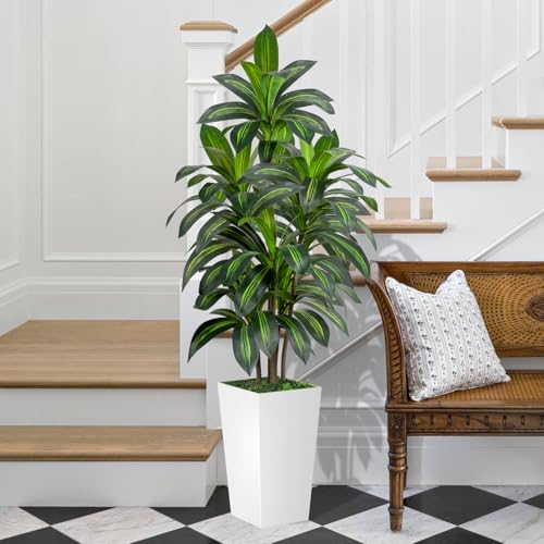 VIVATREES Dracaena Tree 5FT Artificial, 60in Tall Faux Dracaena Tree with 15.7 White Planter, Fake Potted Tree for Indoor & Outdoor Home Office Decor - style: 5ft-white