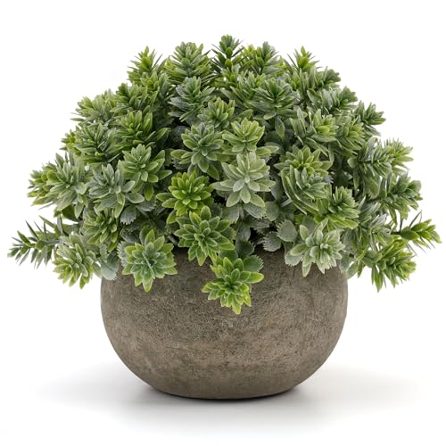 Gresorth 4.72 Inch Small Artificial Sage Potted Plant Decoration in Pulp Pots Fake Greenery Topiaries Model Realistic Vivid Bonsai Display for Home Table Photography Prop - 1 PCS - color: A - 1 Pcs