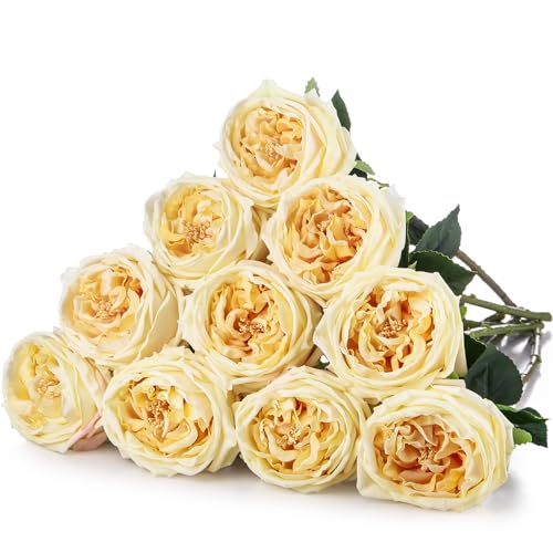 Daifunli 10pcs Real Lifelike Peonies Artificial Flowers, Faux Austin Rose with Long Stem Look Real Fake Flower for Christmas Valentines Arrangement Wedding Party Home Kitchen Decor(Champagne) - color: Champagne