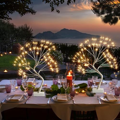 PEIDUO Fairy Lights Spirit Tree, 2PK Bonsai Tree Light, 108 LED Warm White Fairy Light Trees for Room Decor, Artificial Tree with 9 Modes for Christmas Decorations Indoor Home Decor - style: 2PK Fairy Trees