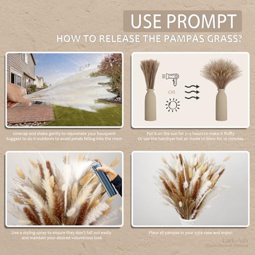 480 Stems Dried Pampas Grass Decor-Bulk Pampas Grass,Bunny Tail,Reed,Fluffy Pompas Grass.Boho Flower Bouquets for Wedding,Spring,Table Vase,Farmhouse Decor,Living Room,Beach,Apartment and Boho Decor - size: 480 Pcs