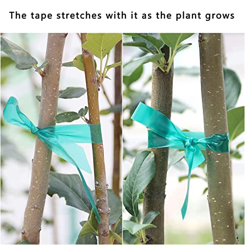Garden Tie Tape 0.45" 290 Ft, Stretch Tie Tape Roll, Sturdy Plant Ribbon Garden Green PVC Plastic Stake Gardening Tools for Indoor Outdoor Patio Plant Use - size: 290 ft