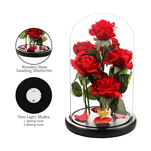 Mothers Day,Birthday Gifts for Women,Beauty and The Beast Rose,Artificial Silk Rose Preserved Forever in Glass Dome,Valentine's Day,Christmas,Anniversary,Flower Roses Gifts for Mom Wife Girlfriend - color: Rose Red
