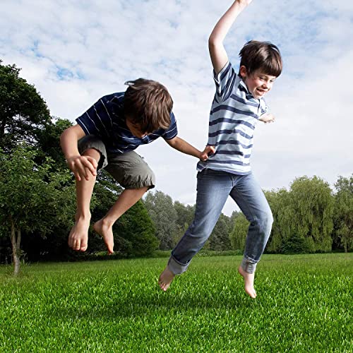 AYOHA 3 FT x 5 FT Artificial Grass, Realistic Fake Grass Deluxe Synthetic Turf Thick Lawn Pet Turf, Indoor/Outdoor Landscape, Easy to Clean with Drain Holes, Non-Toxic, High Density, 35mm - size: 3 ft x 5 ft