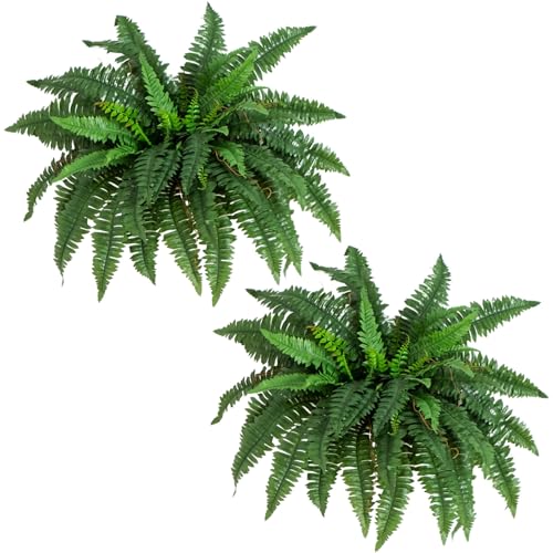 Nearly Natural 40in Boston Fern Artificial Plant, Large Hanging Fake Plant with 56 Long Realistic Fronds, Maintenance-Free Faux Fern for Office and Home Décor (Set of 2) - size: 40" - Set of 2