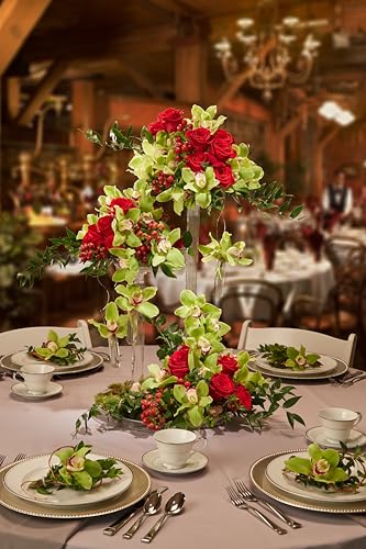Oasis® Floral Foam MaxLife – Standard Size Floral Foam Bricks, Pack of 6 – Professional Hydration & Secure Stem Support for Fresh Flower Arrangements