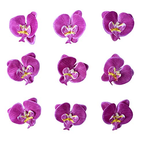 Artificial Silk Phalaenopsis Flower Heads, Fake Butterfly Orchid Heads for Wedding Floral Bouquet Decor DIY Craft Making Bridal Shower Photography Props (20pcs Purple) - color: Purple, size: 20Pcs